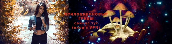 ешки Белокуриха