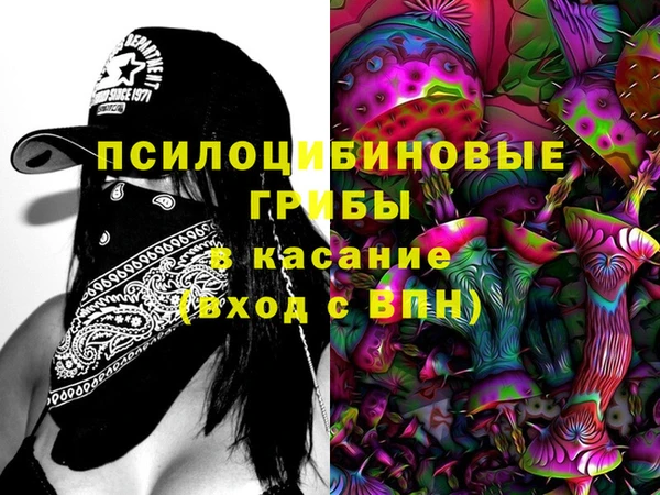 ешки Белокуриха