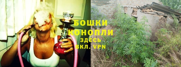 ешки Белокуриха